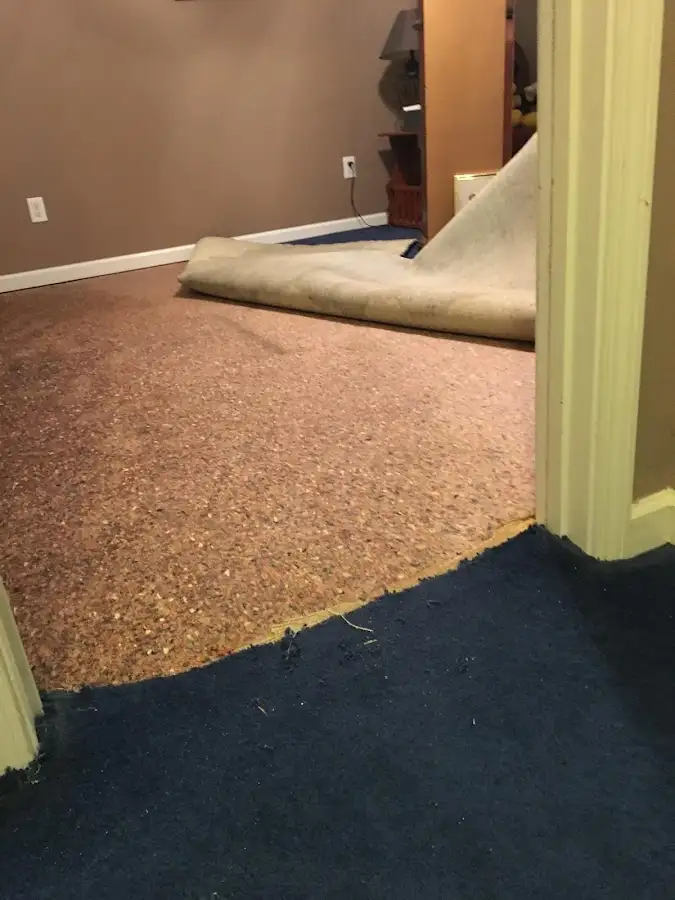 Carpet pad removal revealing water damage during Water Mitigation Services in Suffolk