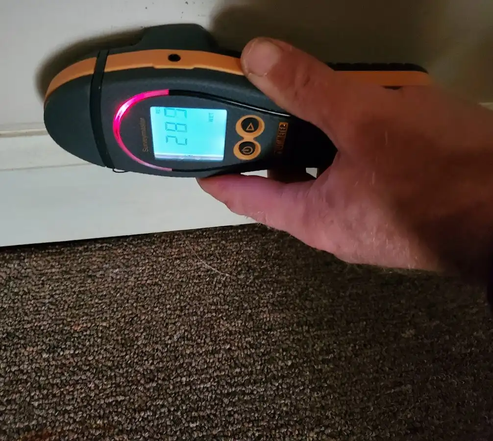 Moisture detection at baseboard during Sewage Cleanup & Sanitation in Suffolk